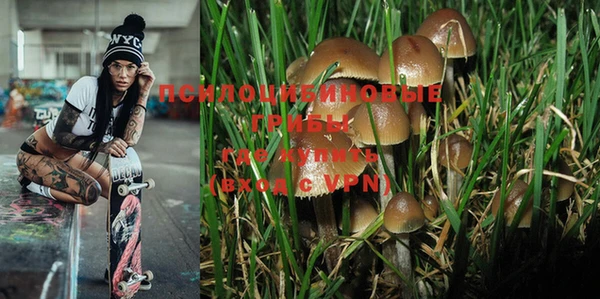мяу мяу мука Абдулино