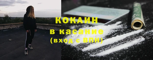 твердый Абаза