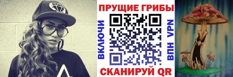 Псилоцибиновые грибы мухоморы  купить наркотики сайты  Камызяк 